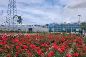 【甘快看】天水甘谷：打造易地搬迁产业园 助力搬迁群众致富图片