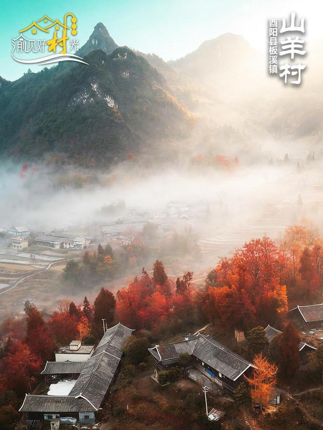 渝见好“村”光 | 酉阳山羊古寨：红叶深处的诗意田园