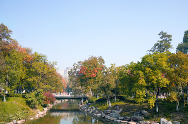 秋风引路入曲江，芙蓉金叶映红墙