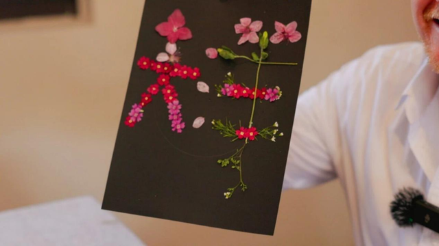 打卡乡野丨新年第一站，去上海离宇宙最近的村子，仰望星空，脚踏田野，开启元气新年