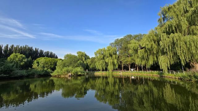 将府公园：工业风和大自然的完美融合