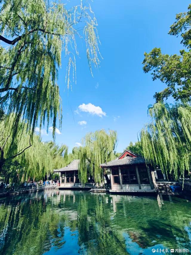 秋高气爽，趵突泉的美景信手拈来