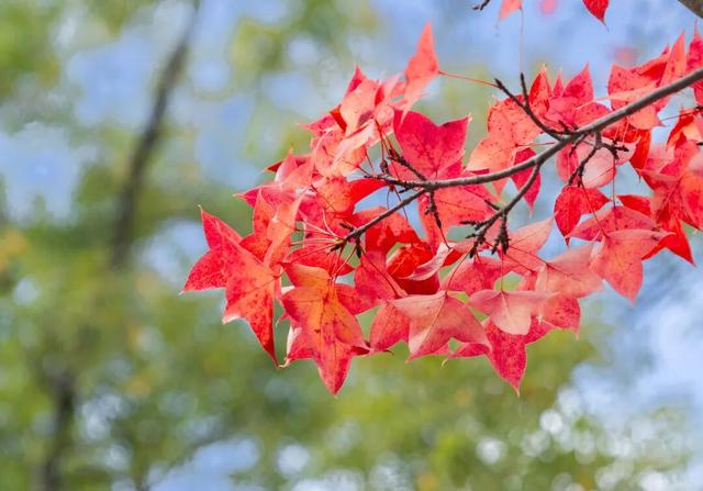 静谧的晋宁昆阳之秋，你可以清晰地听到自己的心跳
