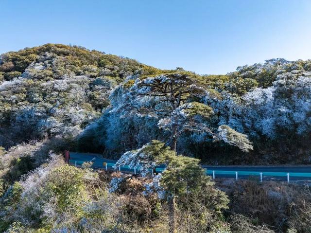 多地下雪！广西限定版“冰雪世界”已上线