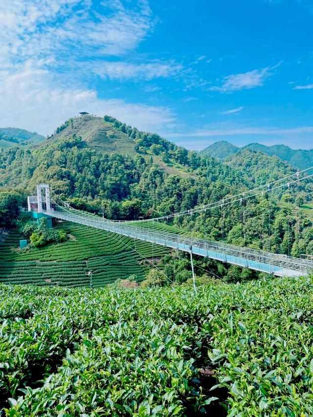 2.5h缩短至1h车程!趁高速通车来这两座宝藏小城,品品茶香和诗意……