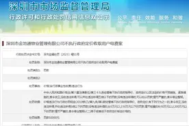 深圳市金池通物业管理有限公司不执行政府定价收取用户电费案图片