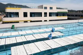 广丰：米粉标准化建设图片