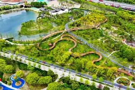 徐汇最后一个镇加速起飞，将与西岸、漕开发共筑徐汇大模型“金三角”图片