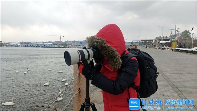 冬游威海何以情满山海