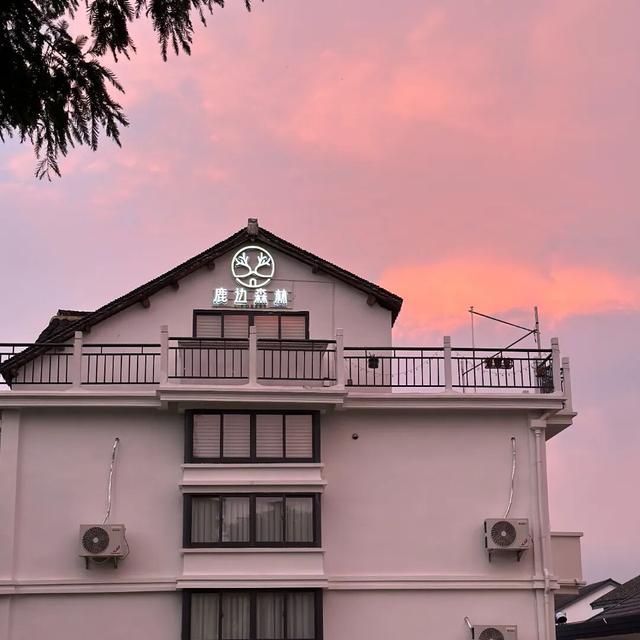 乡村民宿6折起、各大商圈活动多~青浦水岸音乐节重磅票根权益第四波来啦！