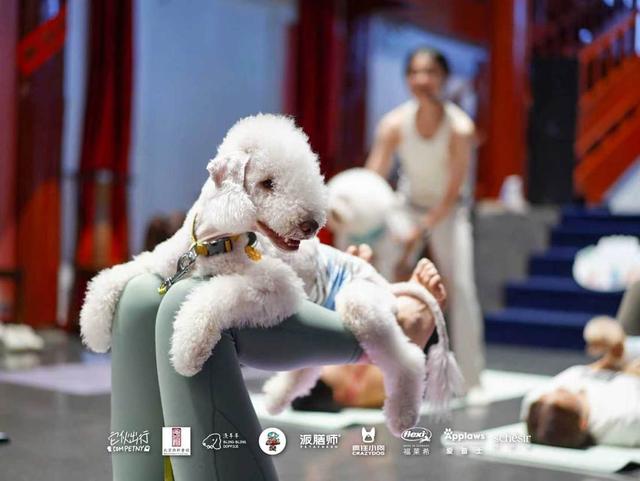 文化赋能城市更新 北京新北方文旅让古都遗产焕发新生