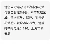 注意！上海这些地方禁止燃放烟花爆竹图片