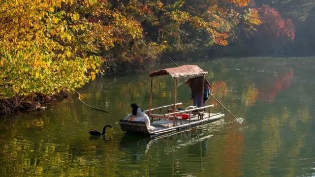 现在就出发！沿着洛阳周边自驾你将能看到...