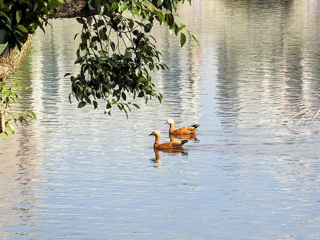 解闷必备！老城区徒步路线+2，探秘“百变”视觉廊道！