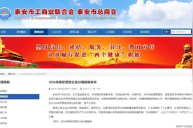 泰安发布2024年民营企业50强榜单！这些企业上榜！图片