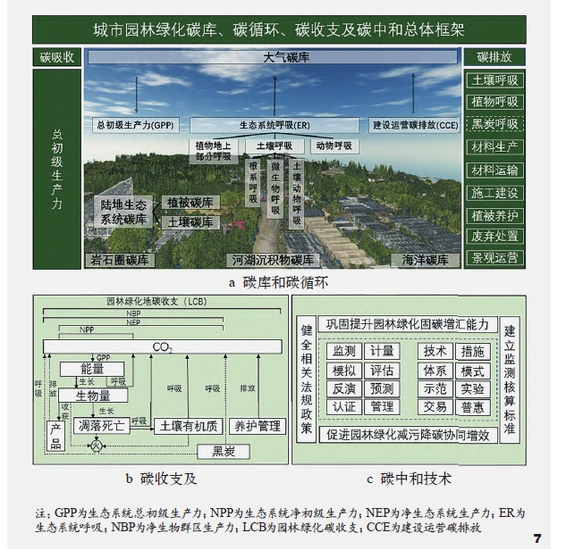 “落叶不扫”上海街头最美秋色中，藏着超大城市的气候解法