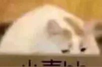 漫画科普：女生胸下面的这条线，到底是什么来历？图片