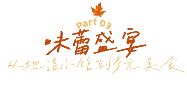 初冬CityWalk，来西山棕树营邂逅悠闲时光