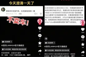 莲花控股澄清：卖调料，不卖跑车图片