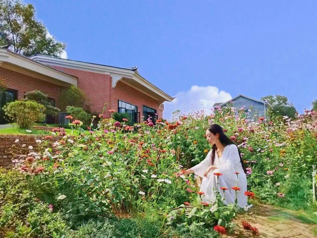 抓住暑假“尾巴”丨想要更加了解醴陵吗？这条旅游线路带走