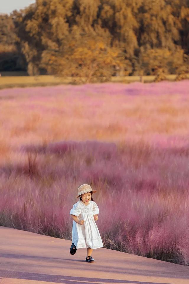 溧水赏秋指南，这周末就出发！