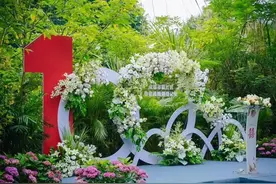 “520”成都上新3家公园式婚姻登记处图片