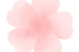 贵州2025年分类考试招生院校职业技能测试相关工作安排汇总图片