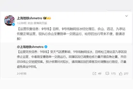 上海地铁：触网挂冰经处理后，9号线佘山、泗泾、九亭站恢复运营图片