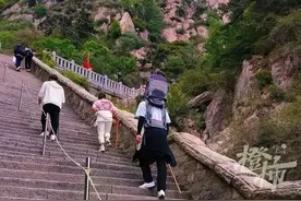 “雇体育生背娃爬泰山”火了，“心大”之余不免后怕图片