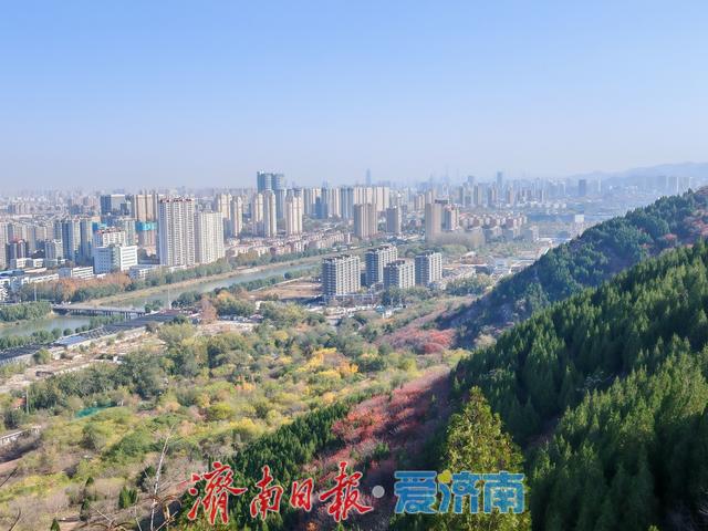 腊山冬日正当“红”| 一年四季 泉在济南