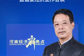 宋向清：河南经济展现出强劲韧性和巨大潜力 | 省委经济工作会议专家谈图片