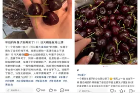 智利车厘子产季尾期品质问题引热议，各平台如何应对？图片