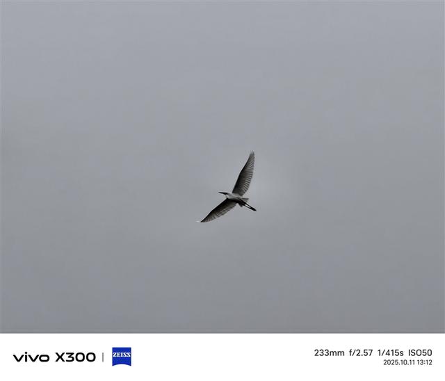 完美小屏影像旗舰！vivo X300手机评测：随手一拍就有德味 高阶技巧信手拈来