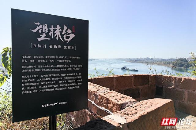 百米江滩何以聚人气？探秘株洲网红地标“大石围”