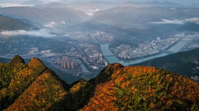 广元群山红叶如霞似火 迎八方来客尊享独有的秋韵与风情