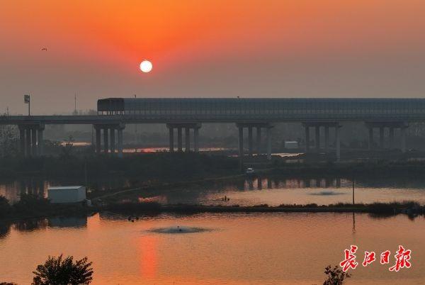 涨渡湖湿地森林公园层林尽染