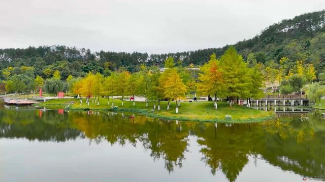 仪陇的秋天很美啊!
