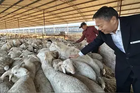 中国银行东营分行：做深做精“五篇大文章”书写高质量发展新答卷图片