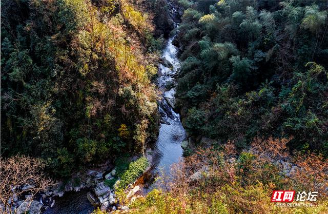 从“十八拐”到齐眉界，一条森林公园里的红色风景线