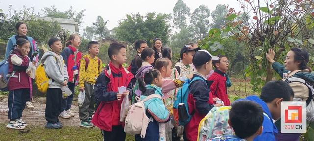 探秘森林，挑战自我！高峰街道燊海社区“小小生存家”自然探索之旅圆满落幕