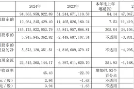 赛力斯深夜重磅！上年营收1451亿元创新高，拟冲刺港股上市图片