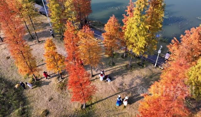 柳州，彩色刷屏！大反转也要来了！