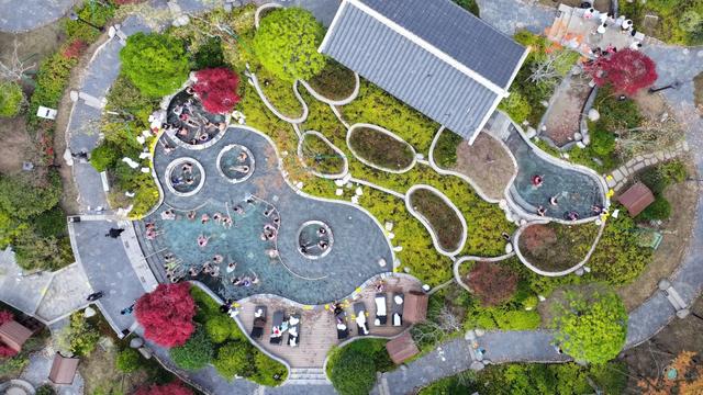 从“省花”提案到全域兴旺!百里杜鹃绘就旅游产业蓬勃发展“新图景”