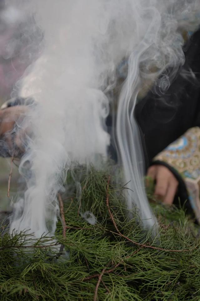 林芝·粉——世界屋脊的桃花源记