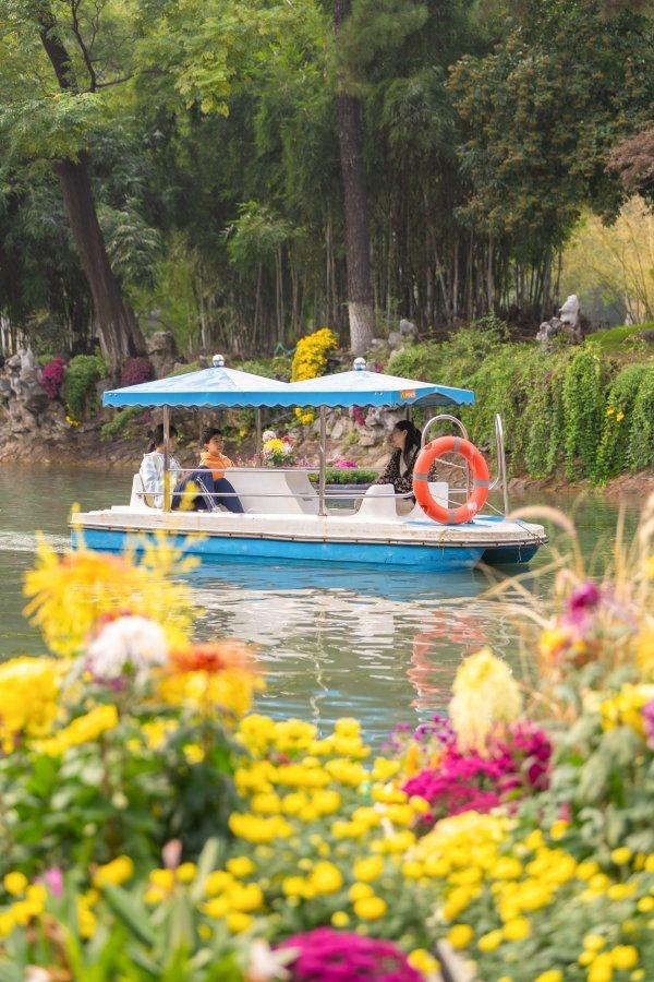 刷屏1个月正式闭幕，武汉金秋菊展留下这些名场面