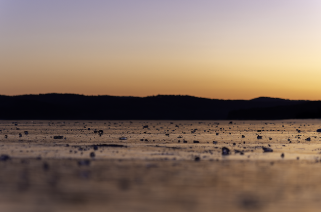 雪国净月 心归之处