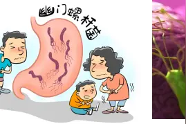 科普 | 守护孩子胃肠健康的起点，两口“仙气”检测幽门螺杆菌图片