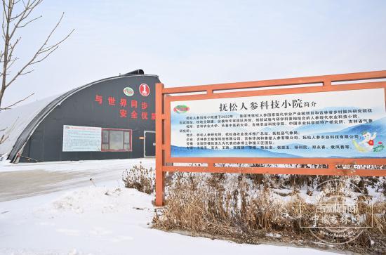 文化中国行｜吉林长白山人参栽培系统藏着三城的传承“心法”