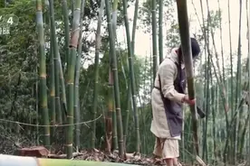 我从基层来｜“竹”梦青春 传统手艺融入时代审美图片