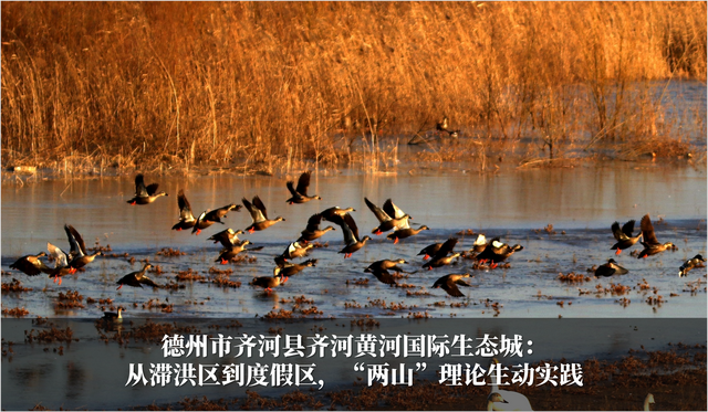 发挥生态优势 促进旅游发展 2024-2025年度山东省生态旅游发展典型案例公布